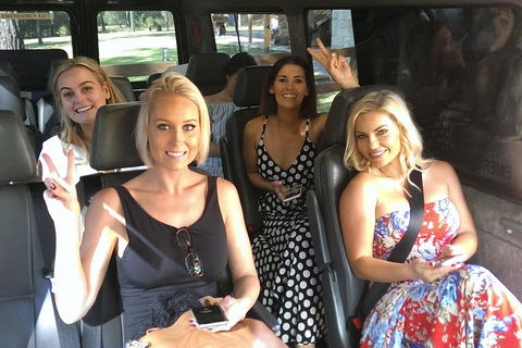 Limousine Services In Sydney Australia - Mercedes S Class And Sprinter 12seater - Darwin Holiday 39