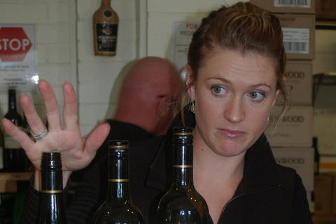 Limousine Services In Sydney Australia - Mercedes S Class And Sprinter 12seater - Darwin Holiday 29