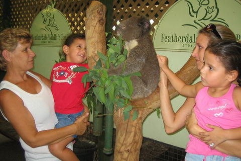 Limousine Services In Sydney Australia - Mercedes S Class And Sprinter 12seater - Darwin Holiday 28