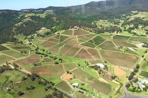 12-Minute Small-Group Hunter Valley Scenic Helicopter Flight - Darwin Holiday 1