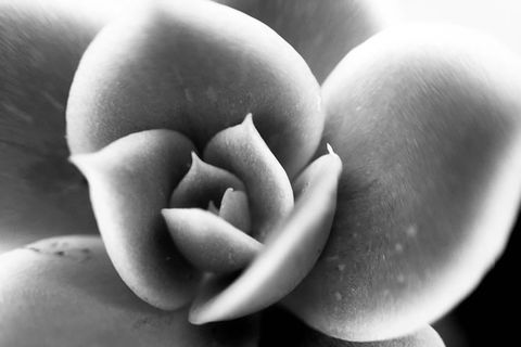 Photo Tour With An IPhone - Darwin Holiday 3