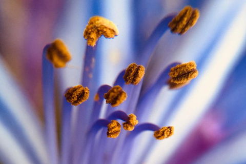 Photo Tour With An IPhone - Darwin Holiday 5