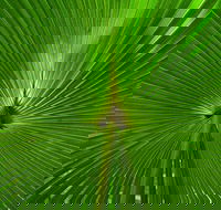 Photo Tour with an iPhone - Darwin Holiday