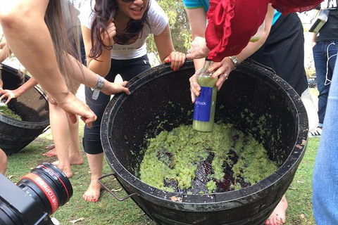 Hunter Valley Grape Stomping - Darwin Holiday 3