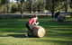 Hunter Valley Wine Barrel Rolling - thumb 4