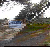 Interactive farm tours on a beef lamb and duck farm - Darwin Holiday