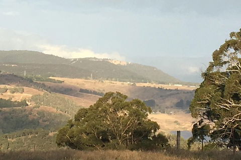 Interactive Farm Tours On A Beef, Lamb And Duck Farm - Darwin Holiday 1