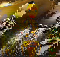 VR Escape Rooms - Huxley - Darwin Holiday