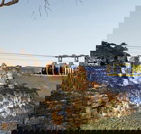 Small Group Blue Mountains Featherdale Lunch  Cruise Day Tour - Darwin Holiday