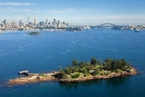 Sydney Harbour Picnic Experience - Darwin Holiday 5