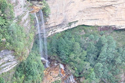 All-Inclusive Blue Mountains Tour In A Luxury Mercedes Sprinter - Darwin Holiday 9