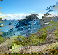 Sydney Uncovered Full-Day Tour - Darwin Holiday