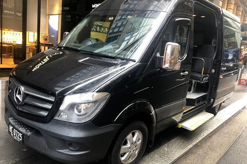 Sydney Airport Premium (ARRIVAL) Transfer - Darwin Holiday 8