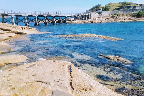 Sydney Sightseeing Tour In A Luxury Mercedes-Benz People Mover - Darwin Holiday 3