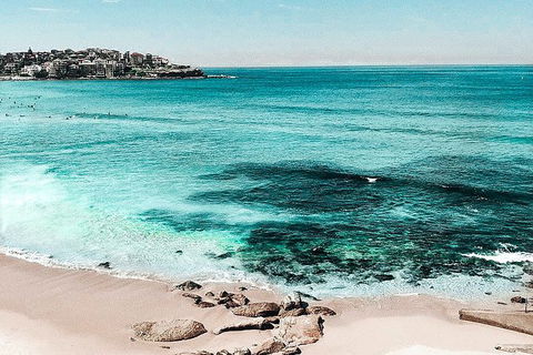 Sydney Sightseeing Tour In A Luxury Mercedes-Benz People Mover - Darwin Holiday 2