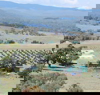 Truffle Hunt and Luncheon - Darwin Holiday