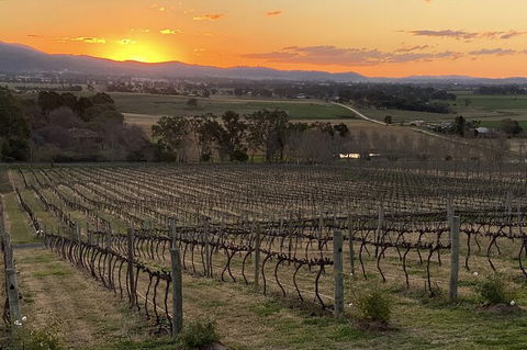 Mudgee 2 Day Private Wine Tasting And Sightseeing Tour From Sydney - Darwin Holiday 15