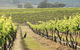 Mudgee 2 Day Private Wine Tasting And Sightseeing Tour From Sydney - thumb 4