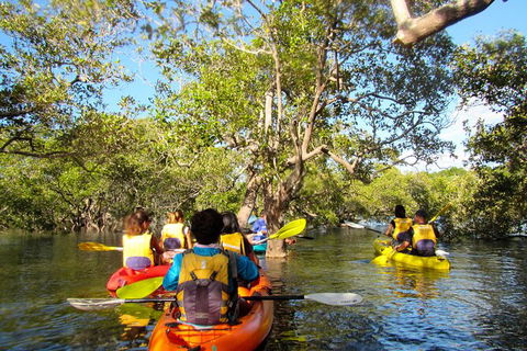 2-Hour Rental Kayak Double In Brunswick River - Darwin Holiday 2