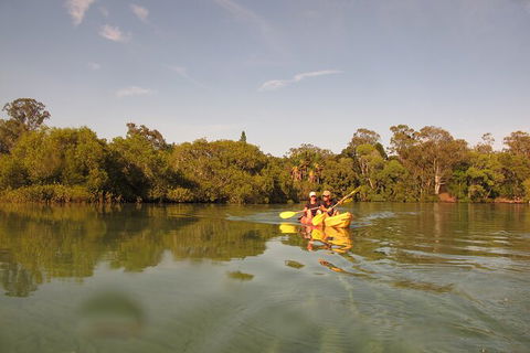 2-Hour Rental Kayak Double In Brunswick River - Darwin Holiday 5