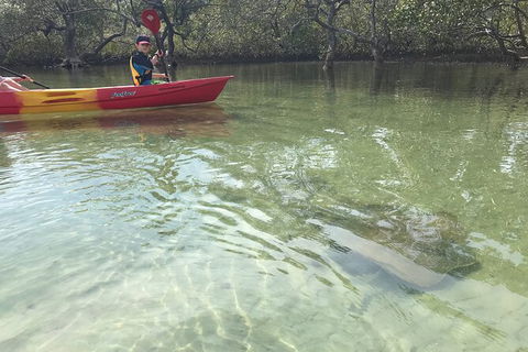 2-Hour Rental Kayak Double In Brunswick River - Darwin Holiday 6