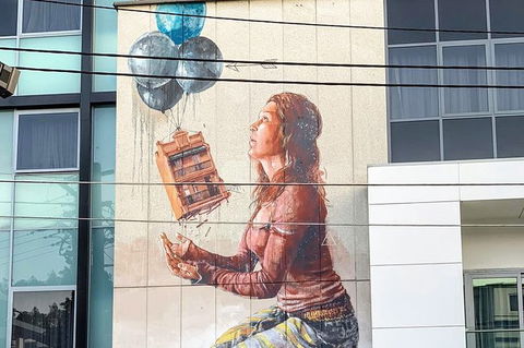 3 Hours Street Art Walking Tour In Newtown With Food Tasting - Darwin Holiday 0