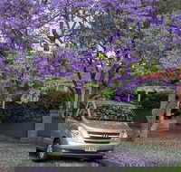 Central Coast to Sydney/ Sydney Airport Transfers - Darwin Holiday