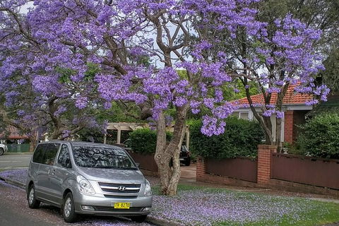 Central Coast To Sydney/ Sydney Airport Transfers - Darwin Holiday 0