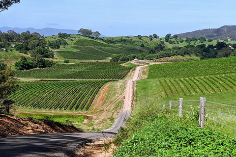 The Complete Hunter Valley Wine Tour Of Pokolbin, Mt View, Lovedale And Rothbury - Darwin Holiday 0