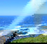 Erupting Blowholes and Ancient Rainforests with 'Personalised Sydney Tours' - Darwin Holiday