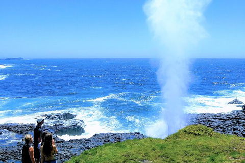 Erupting Blowholes And Ancient Rainforests With \'Personalised Sydney Tours\' - Darwin Holiday 0