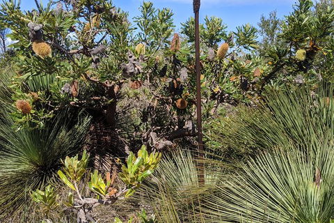 Australian Wildlife & Waterfalls Private Tour With \'Personalised Sydney Tours\' - Darwin Holiday 3