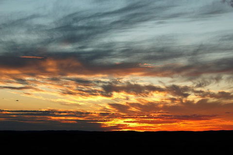 Outback Sunset Sculpture Tour - Darwin Holiday 1
