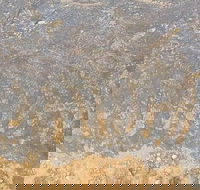 Aboriginal Rock Art - Darwin Holiday