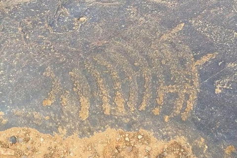 Aboriginal Rock Art - Darwin Holiday 0