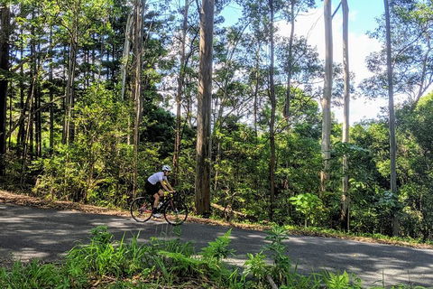 7 Day - Byron Bay Cycling Holiday - Darwin Holiday 14