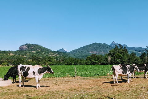 7 Day - Byron Bay Cycling Holiday - Darwin Holiday 11