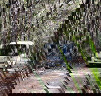 Royal National Park Shuttle Bus to The Coast Track - Darwin Holiday