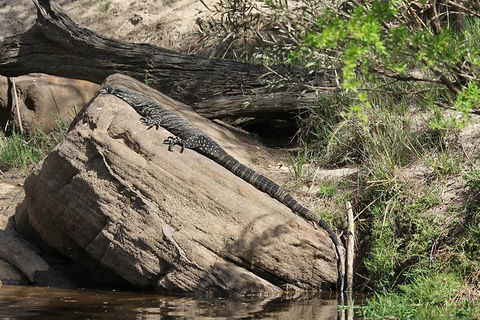Wilderness Kayak Adventure With Gourmet Food - Darwin Holiday 6