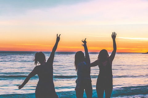 Private Luxury Sydney\'s North Shore Road Trip - Darwin Holiday 6