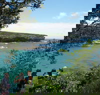 Private Luxury Sydney's Royal National Park Full Day Tour - Darwin Holiday