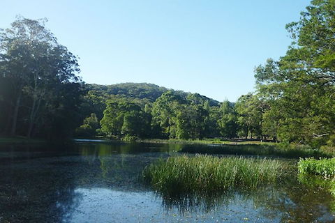 Private Luxury Sydney\'s Royal National Park Full Day Tour - Darwin Holiday 4