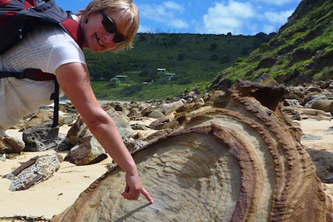 Private Luxury Sydney\'s Royal National Park Full Day Tour - Darwin Holiday 1