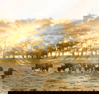 Private Luxury Southern Highlands Full Day Trip - Darwin Holiday