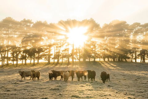 Private Luxury Southern Highlands Full Day Trip - Darwin Holiday 0