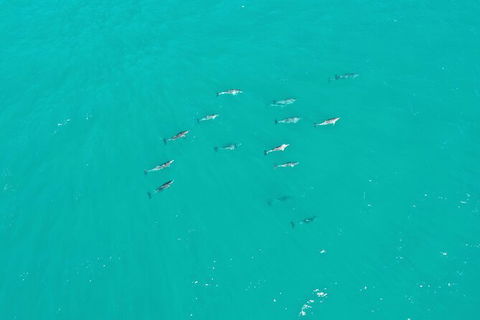 Port Macquarie Hastings Explorer - 30 Min VIP Private Flight - Darwin Holiday 4