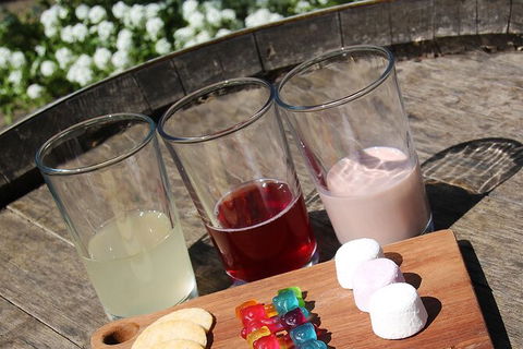 Hunter Valley All-Inclusive Small Group Tour - Darwin Holiday 3