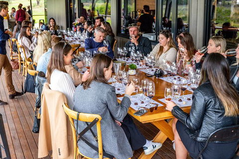 Hunter Valley All-Inclusive Small Group Tour - Darwin Holiday 1