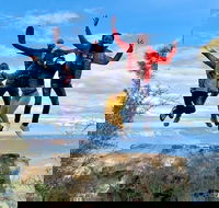 Small Group Blue Mountain Tour with a Local guide - Darwin Holiday