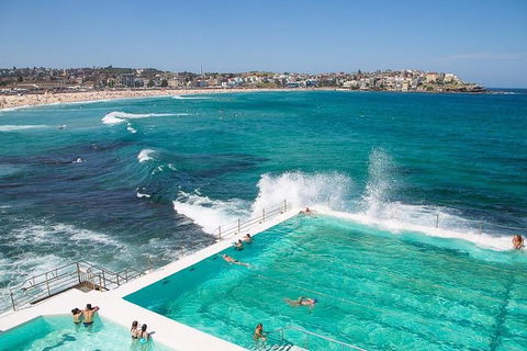 Sydney Instagram Tour - Darwin Holiday 4